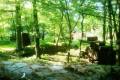 Elektroniczny Paintball
